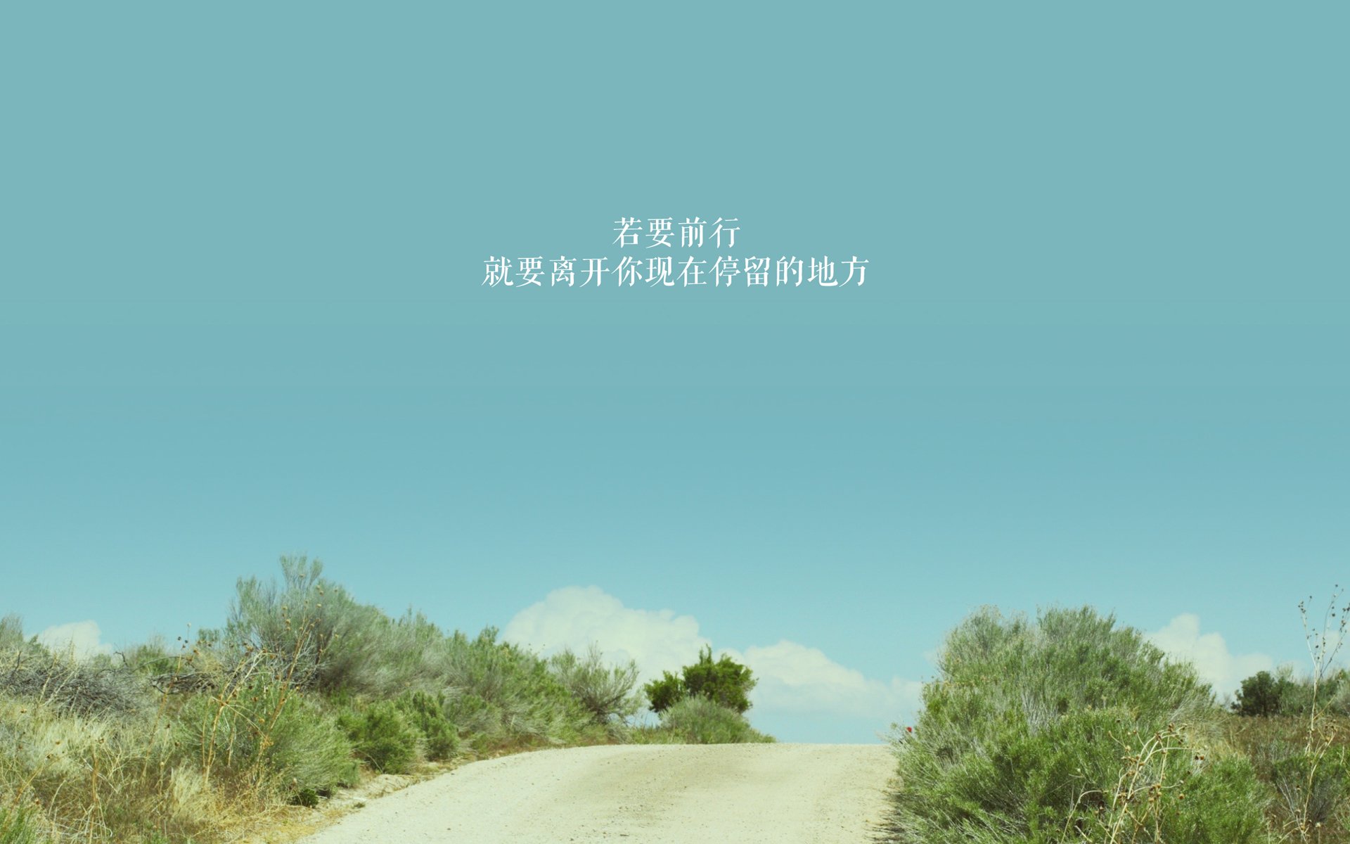 帕尔梅拉斯连续获胜保持冲击力，帕尔梅拉斯vs河床