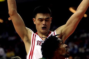 NBA球员伤病康复管理,nba球员伤病报告