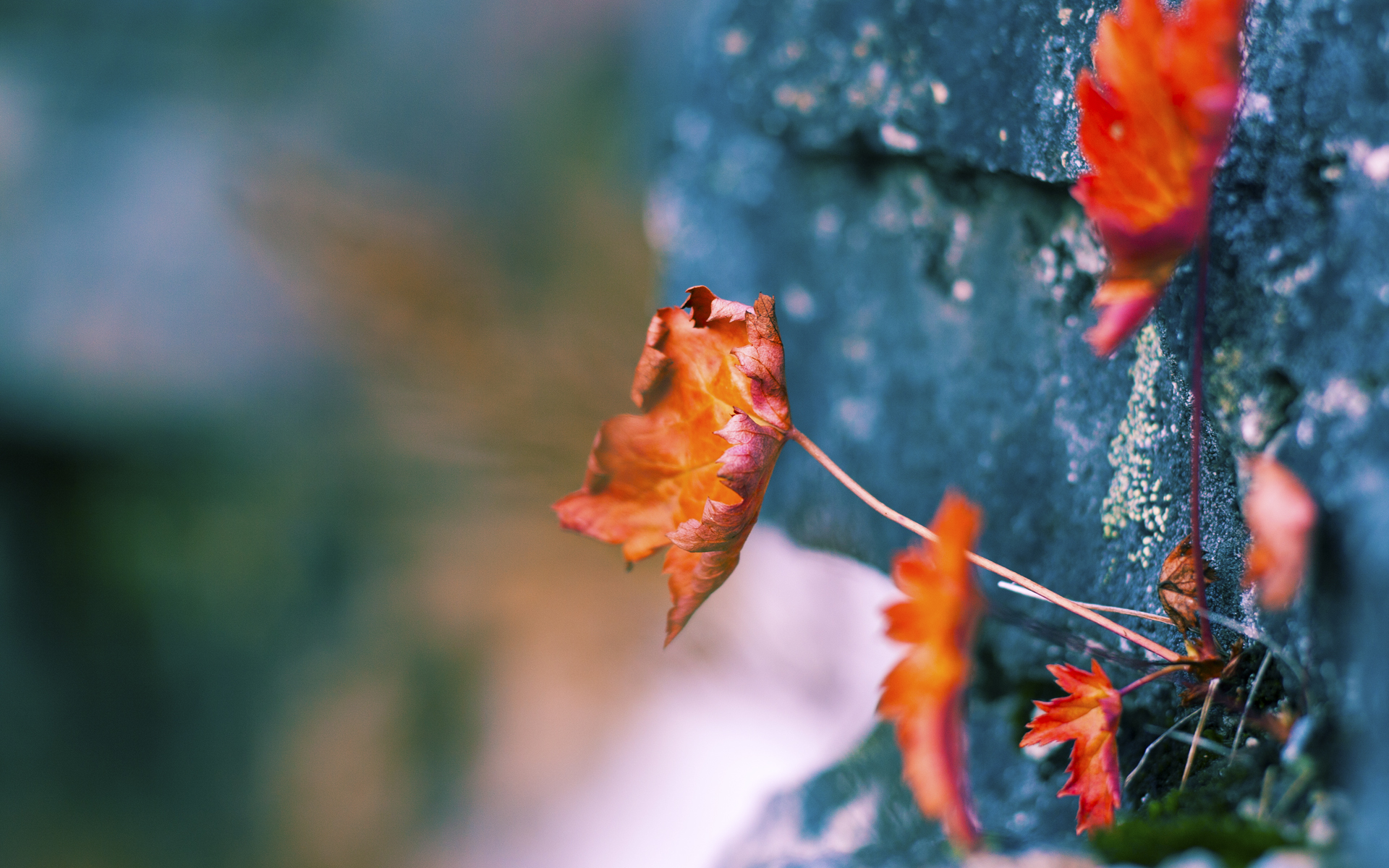 德甲策略多变:变化迎合场上局势!,德甲德甲