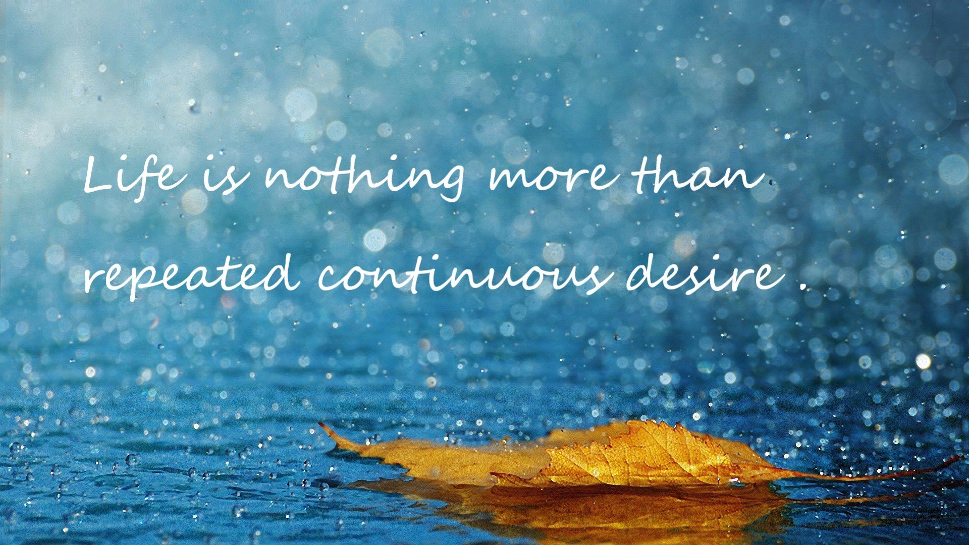 澳大利亚橄榄球的崛起：战术革新与阵容深度并行，澳大利亚橄榄球与美式区别