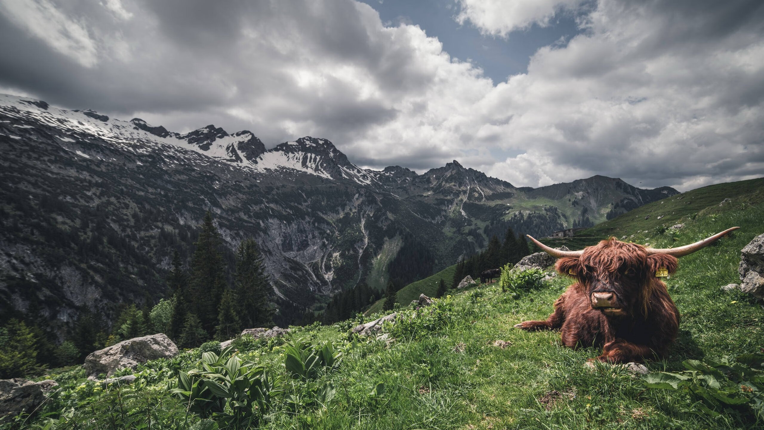 详细阅读:里根·史密斯耐力与爆发力完美结合,史密斯·李 里根·史密斯耐力与爆发力完美结合,史密斯·李