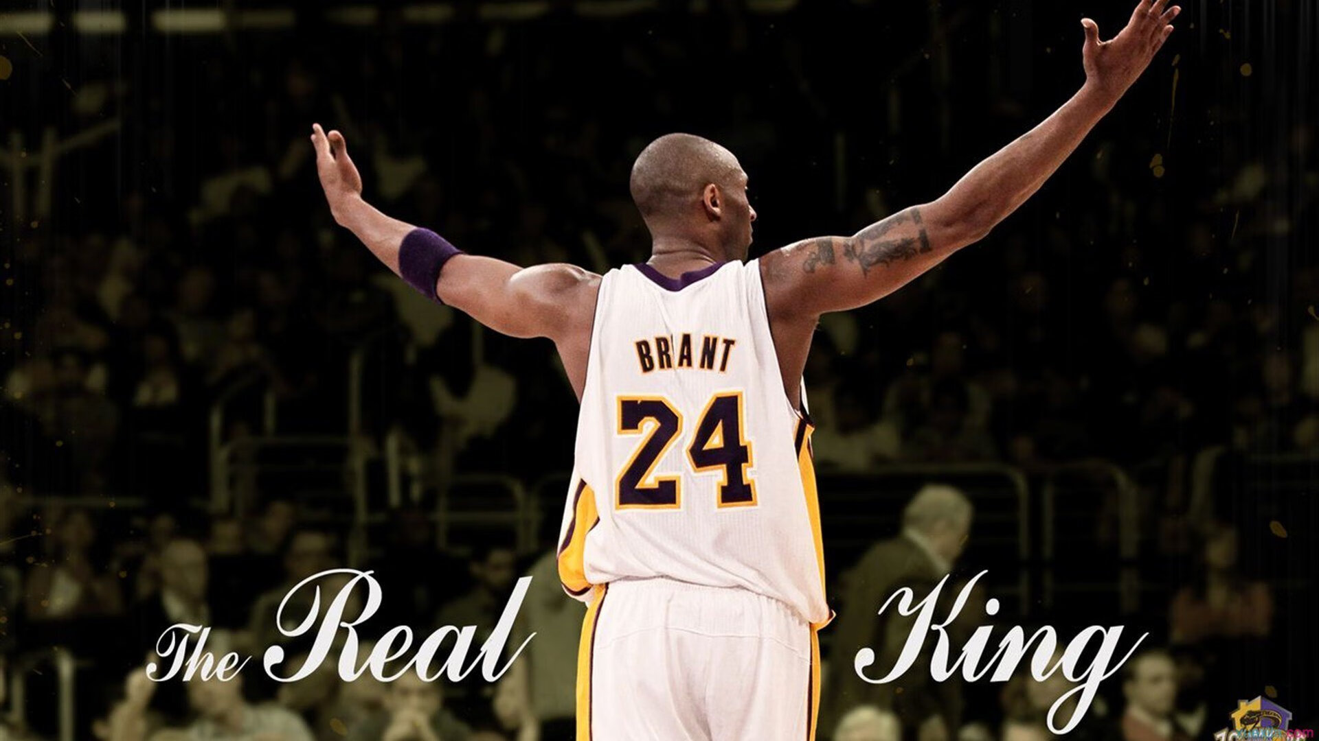 开云体育中国官方网站-芝加哥之战:斯托亚科维奇在关键时刻,一记“贴地飞行”扣篮震撼全场!